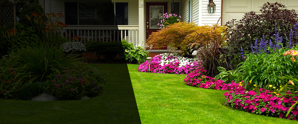 Boulder City Landscapers