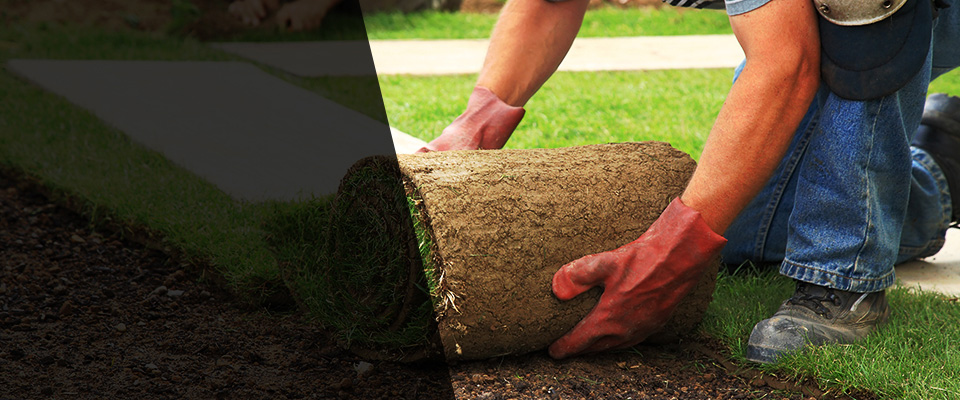 Boulder City Landscapers